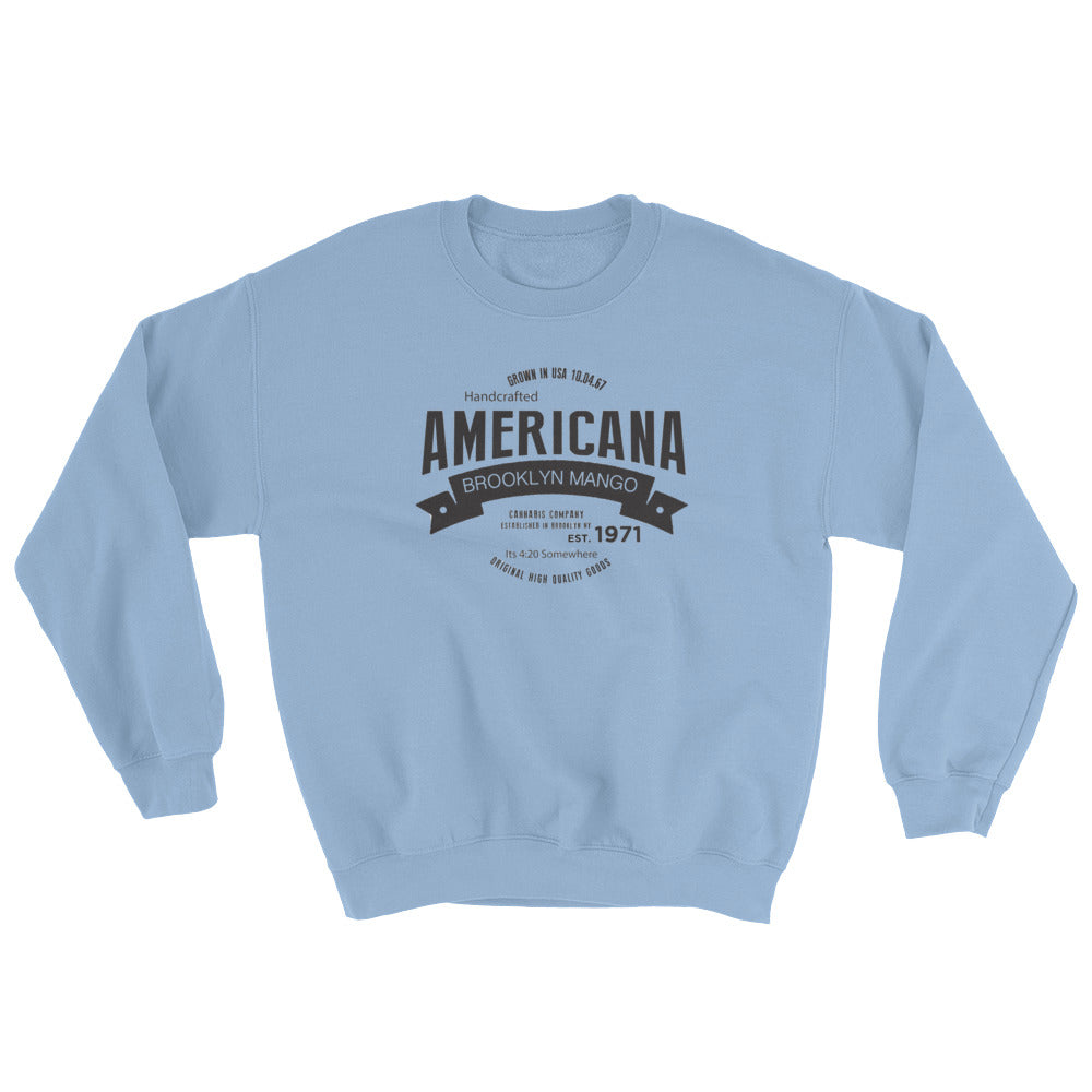Americana...Sweatshirt