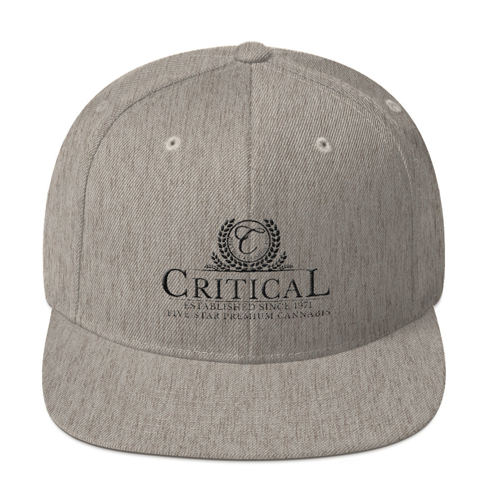 Critical...Snapback Hat