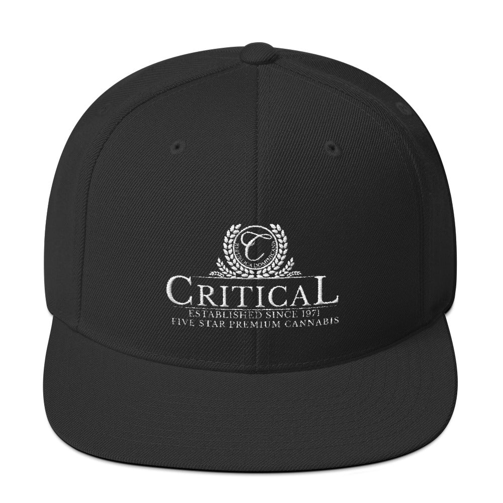 Critical...Snapback Hat