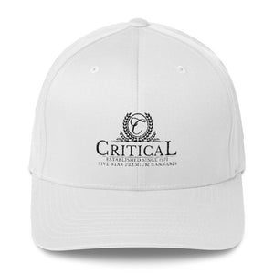 Critical...Structured Twill Cap