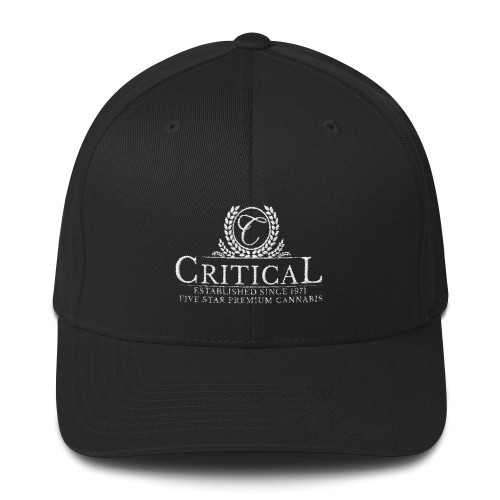 Critical...Structured Twill Cap